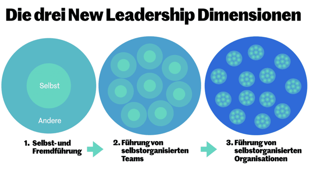 New Leadership Dimensionen Selbstführung Teamführung Führung von selbstorganisierten Organisationen