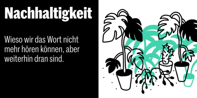 Illustration mehrerer Topfpflanzen in Schwarz und Türkis, darunter eine vertrocknete Pflanze mit herabhängenden Blättern