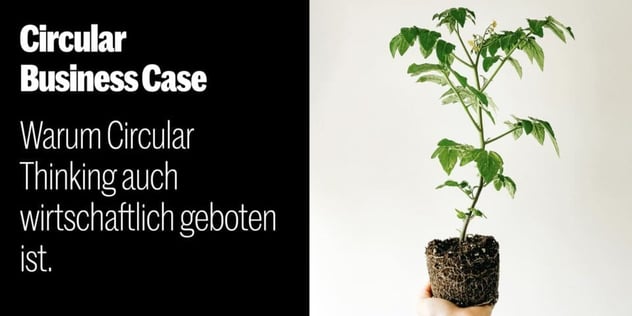 Hand hält einen jungen Tomatensetzling mit freiliegendem Wurzelballen; Text: Circular Business Case