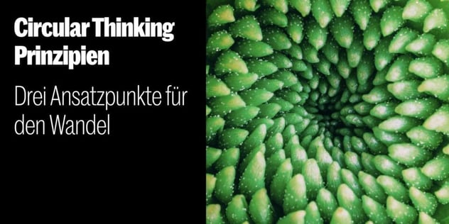 Nahaufnahme eines grünen Romanesco mit spiralförmig angeordneten Röschen