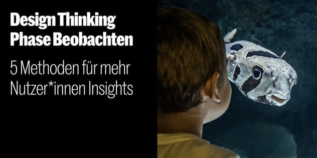 Kind betrachtet aus nächster Nähe einen Kugelfisch hinter einer Aquarienscheibe