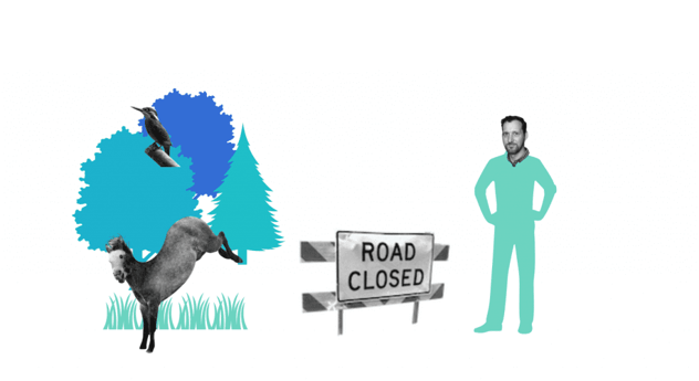 Illustrierte Szene mit Baumgruppe, Vogel und springendem Pferd auf der einen Seite, einer Person auf der anderen, dazwischen ein Absperrschild mit der Aufschrift ROAD CLOSED