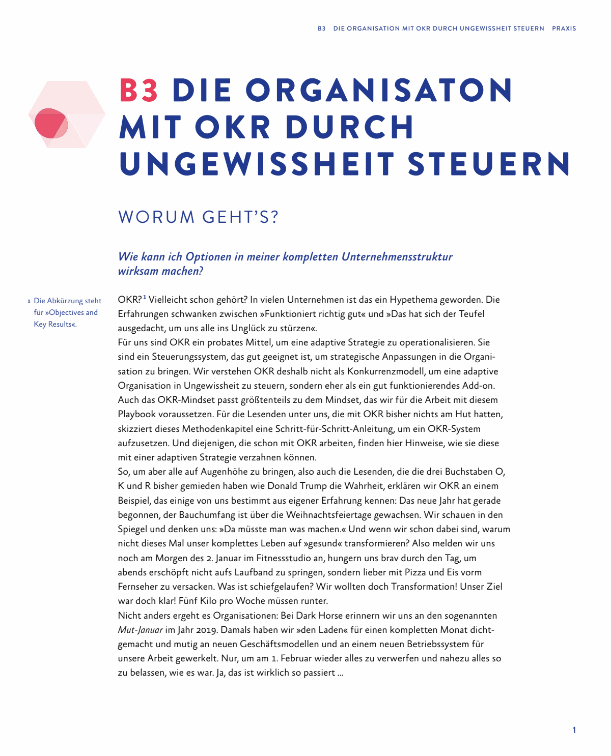 Vorschau: Bonus-Kapitel: Die Organisation mit OKR durch Ungewissheit steuern