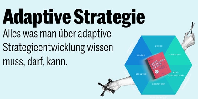 Handbuch Adaptive Strategie – Titelbild