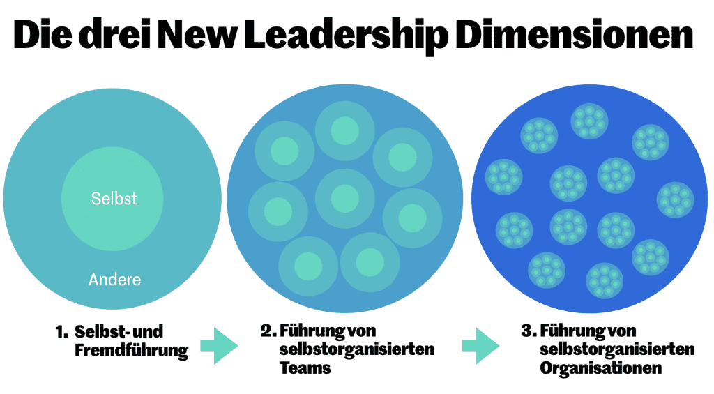 New Leadership Dimensionen Selbstführung Teamführung Führung von selbstorganisierten Organisationen